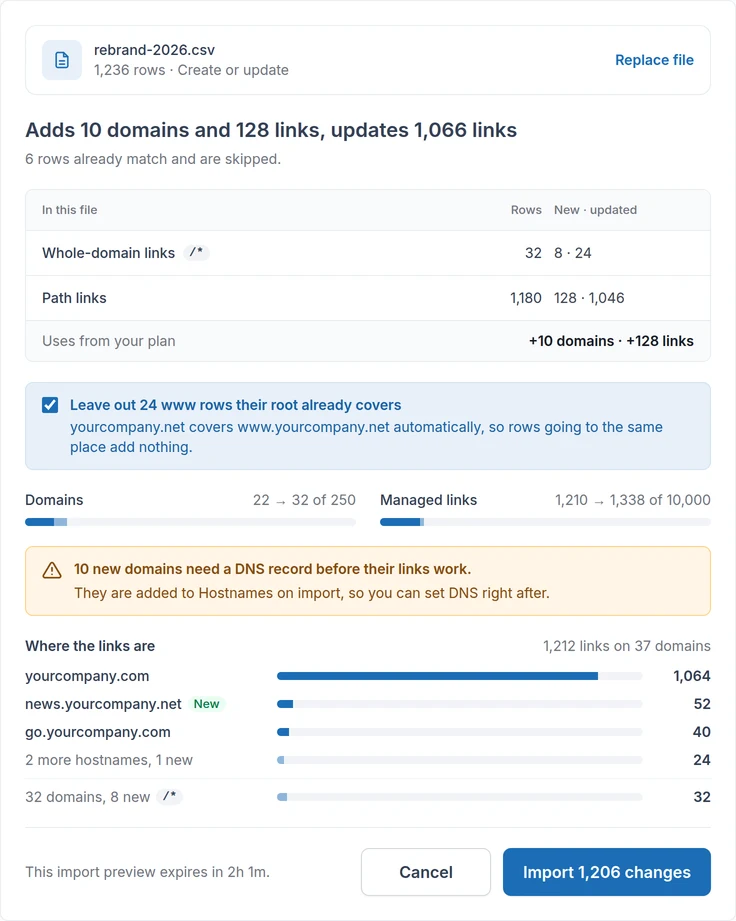 CSV import review: the domains and links a file adds or updates, the plan capacity it uses, and the new domains that need DNS